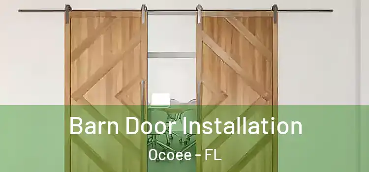 Barn Door Installation Ocoee - FL