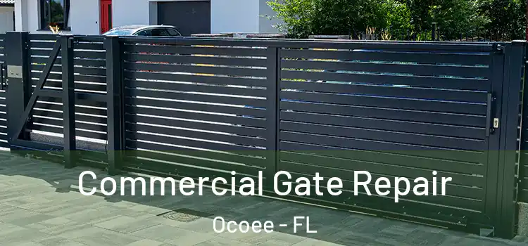 Commercial Gate Repair Ocoee - FL