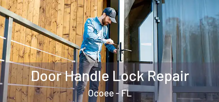 Door Handle Lock Repair Ocoee - FL