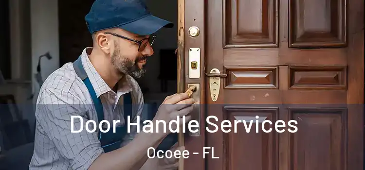 Door Handle Services Ocoee - FL