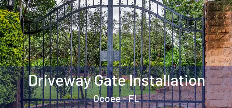 Driveway Gate Installation Ocoee - FL
