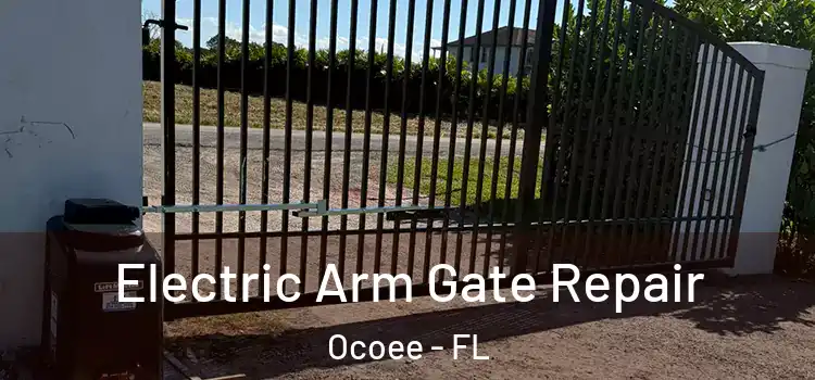 Electric Arm Gate Repair Ocoee - FL