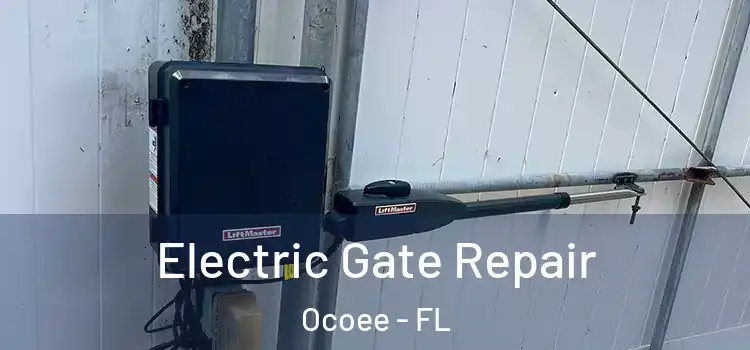 Electric Gate Repair Ocoee - FL