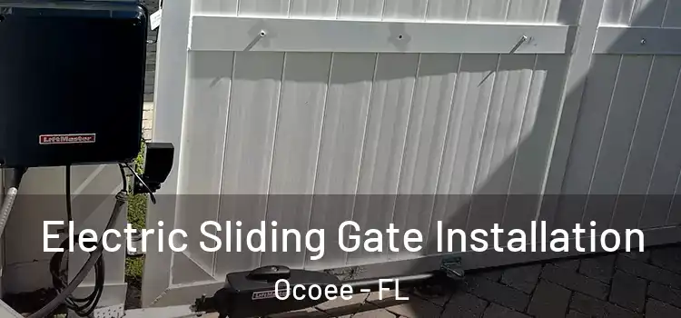 Electric Sliding Gate Installation Ocoee - FL