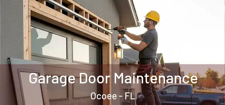 Garage Door Maintenance Ocoee - FL
