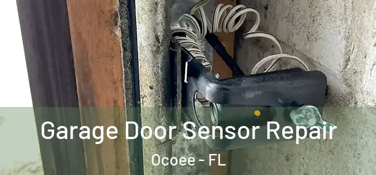 Garage Door Sensor Repair Ocoee - FL