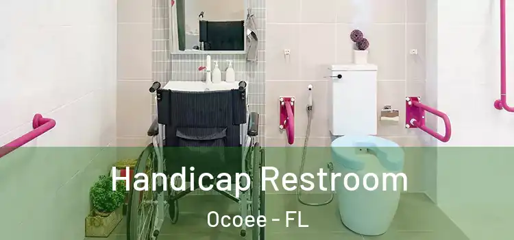 Handicap Restroom Ocoee - FL