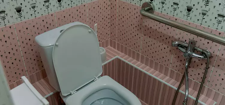 Meeting Diverse Needs With Accessible Restroom Solutions in Ocoee, FL