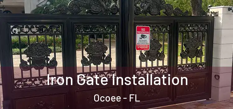 Iron Gate Installation Ocoee - FL