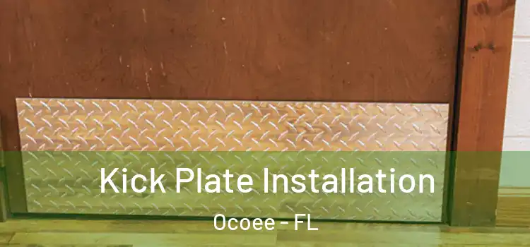 Kick Plate Installation Ocoee - FL