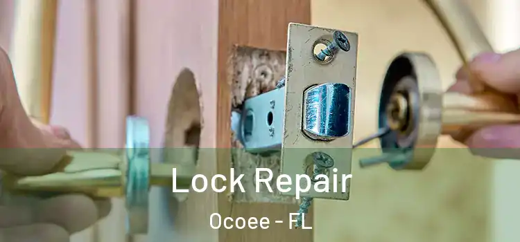 Lock Repair Ocoee - FL