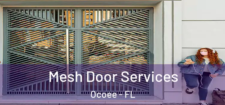 Mesh Door Services Ocoee - FL
