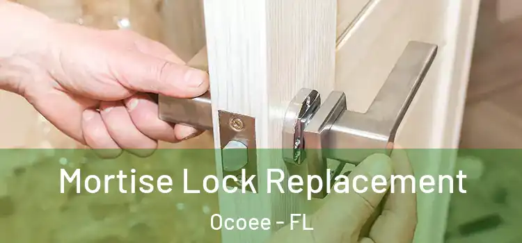 Mortise Lock Replacement Ocoee - FL