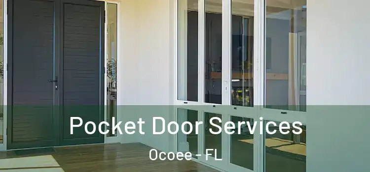 Pocket Door Services Ocoee - FL