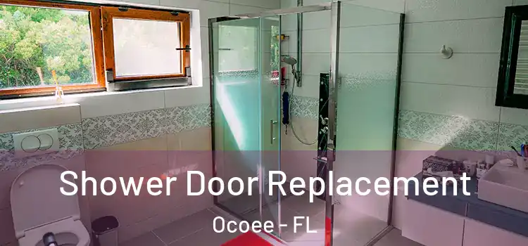 Shower Door Replacement Ocoee - FL