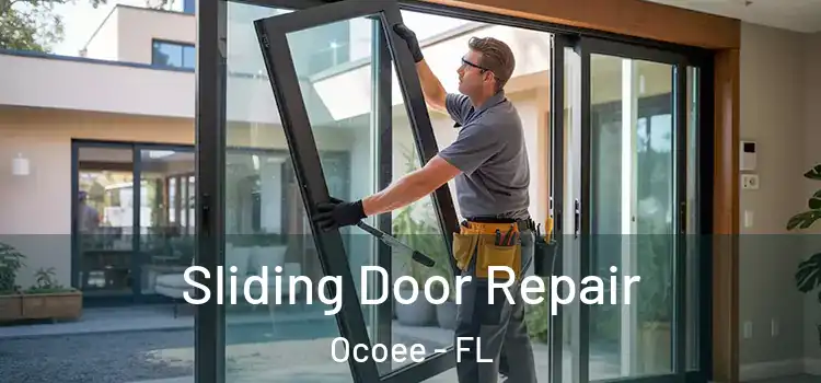 Sliding Door Repair Ocoee - FL